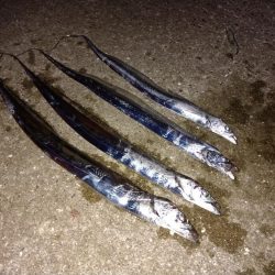 ミスバイト多発